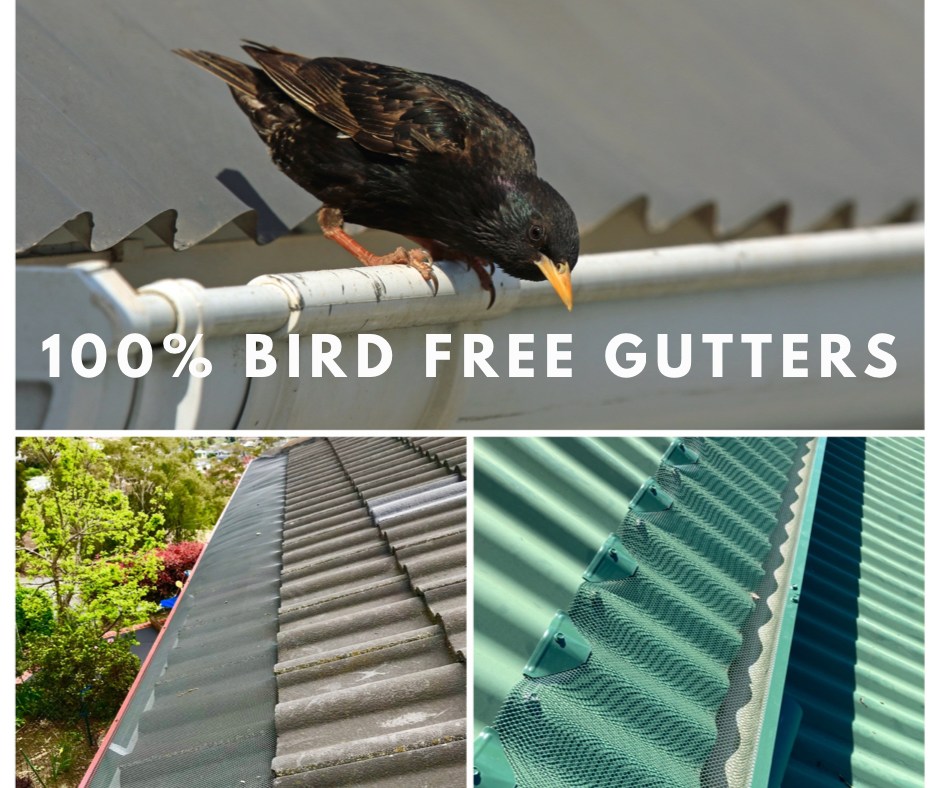 Five Major Benefits of Getting Gutter Guard