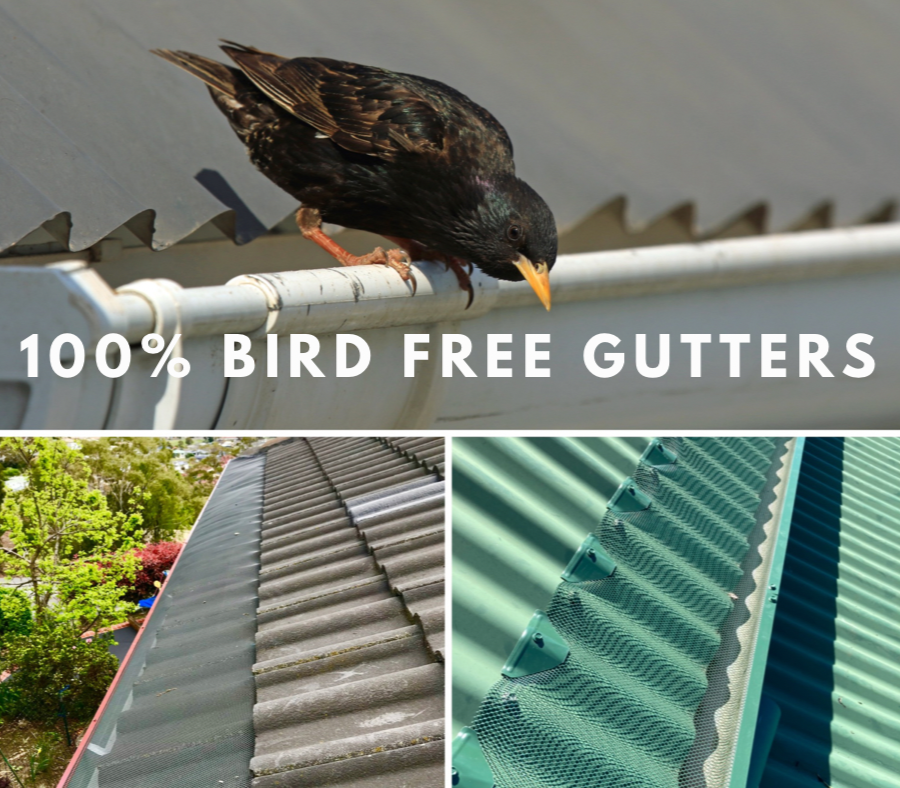 Bird Free Gutter Guard Tasmania