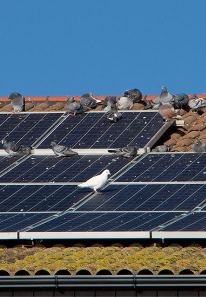 Solar Panel Proofing Hobart