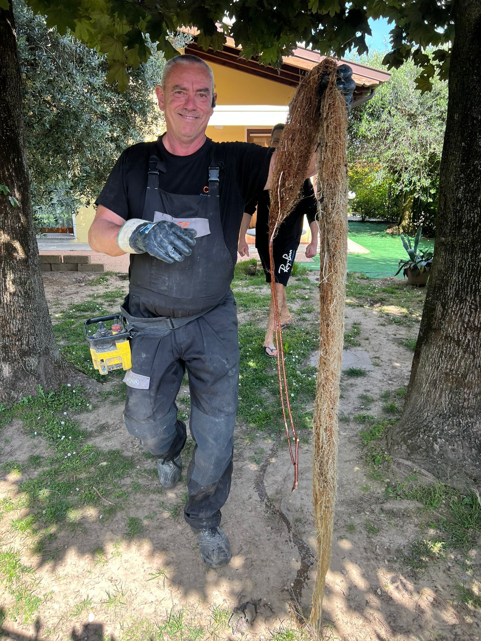Taglio radici a san vito al tagliamento