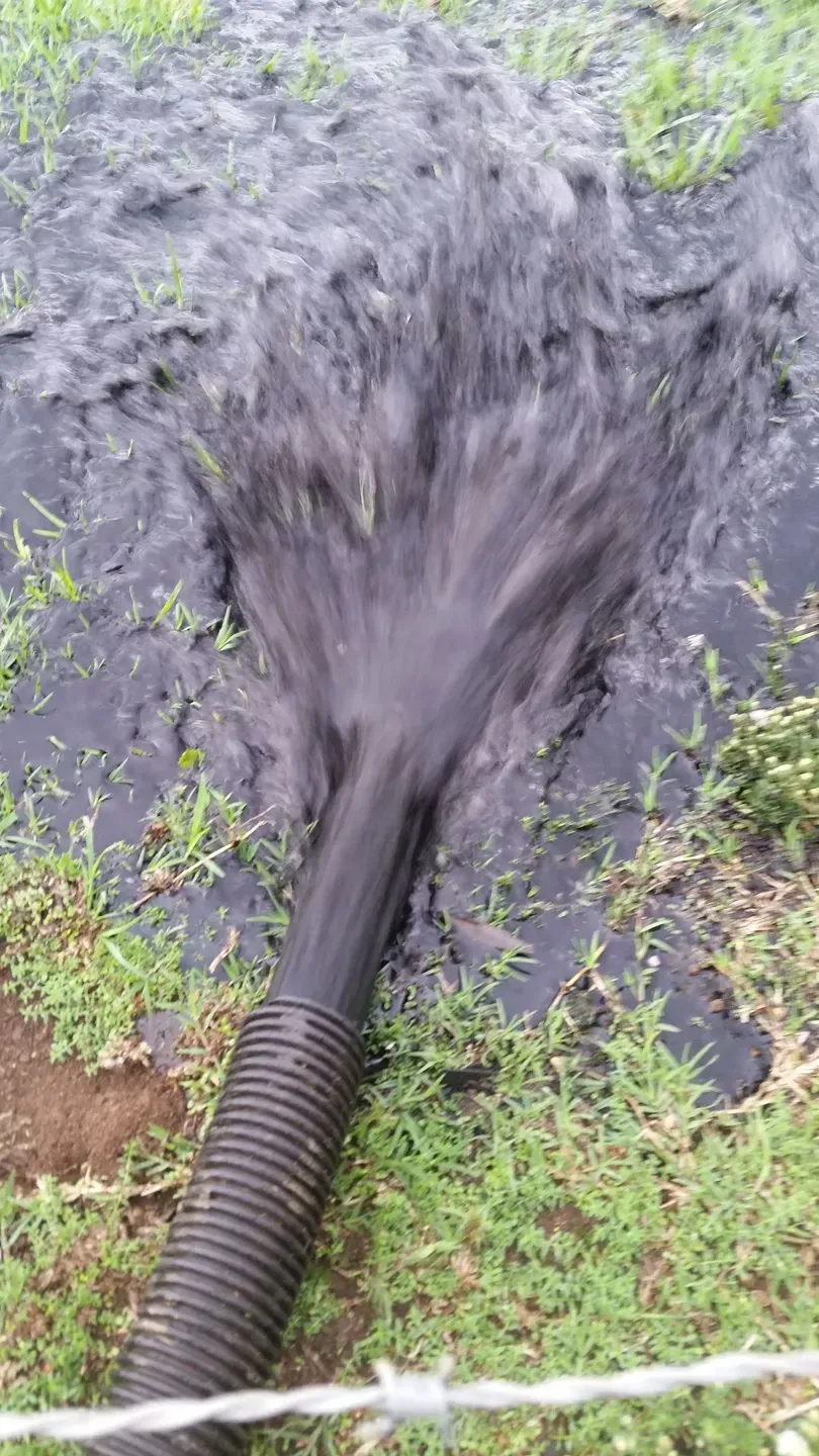 A Vacuum Hose is Being Used to Pump Water Into a Field — Tink's Water Tank Cleaning in Harrington, NSW