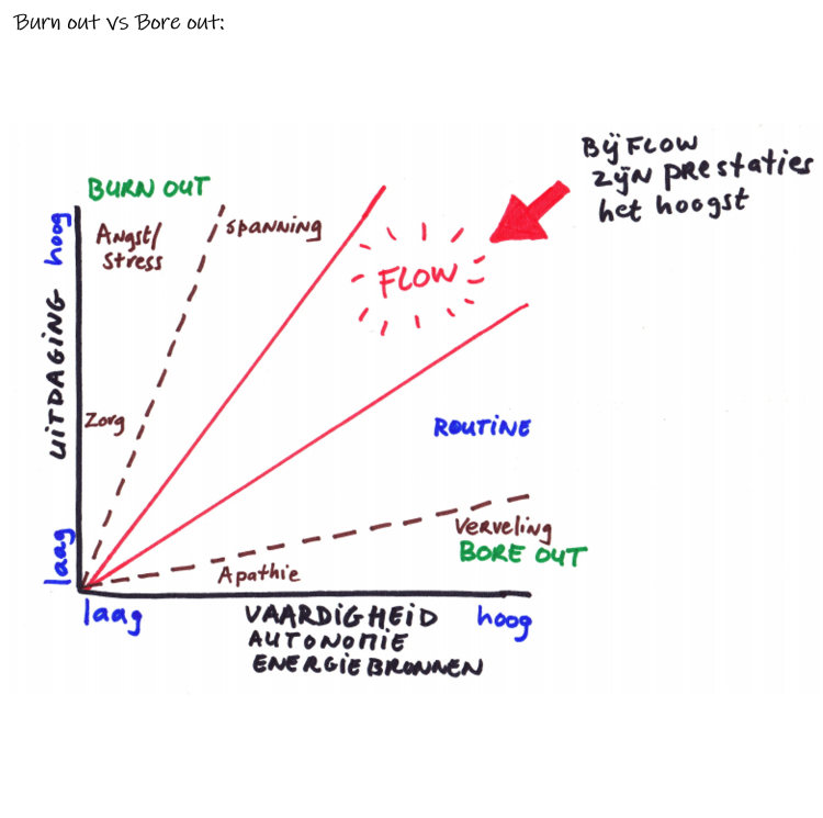 van burn-out of bore -out naar flow door het vinden van een leuke baan middels loopbaan coaching. Coaching en Vitaliteitscoaching. 