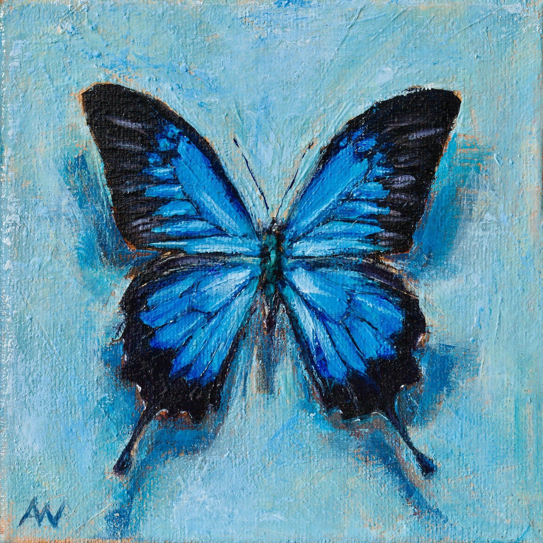 A painting of a blue Ulysses butterfly on a blue background.