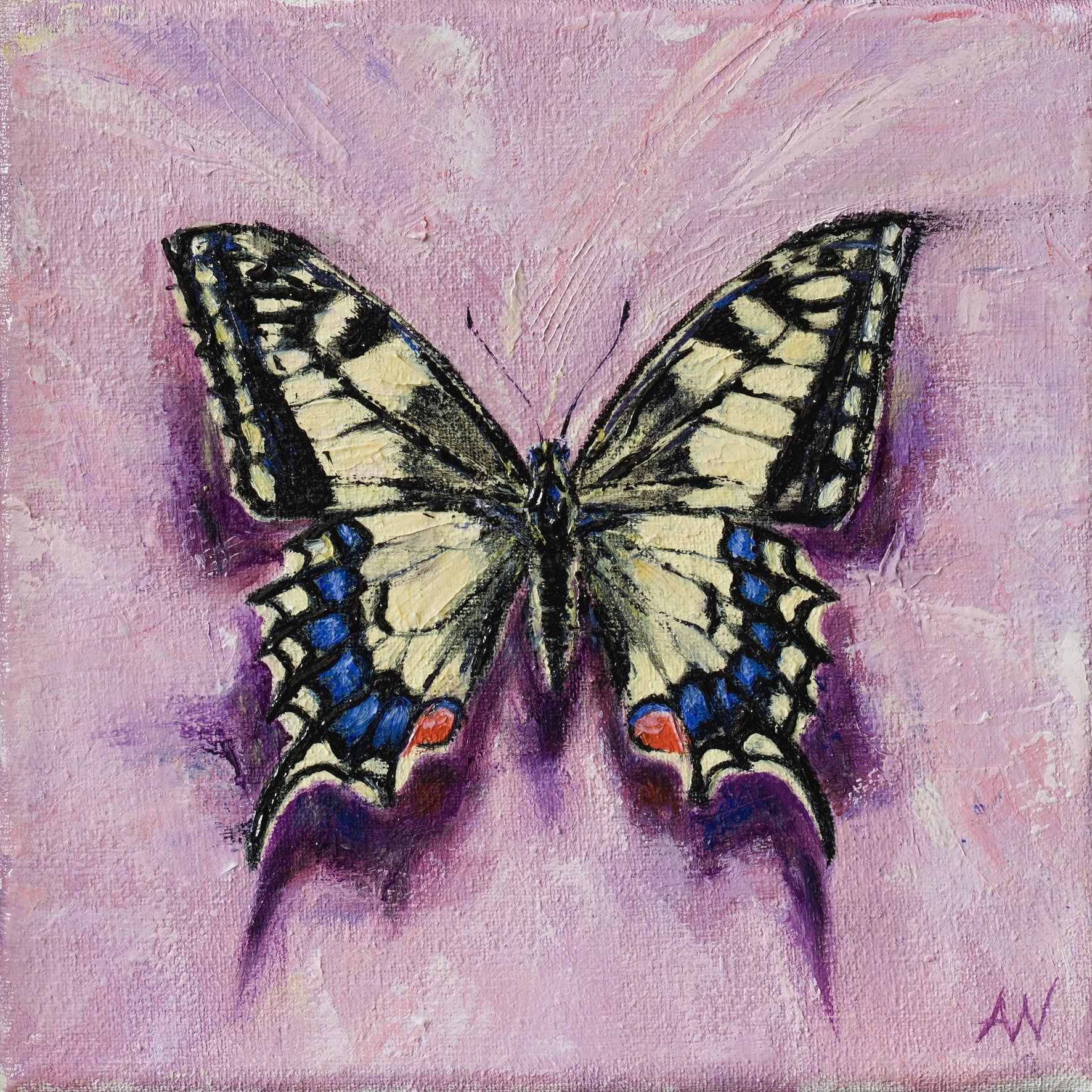 A painting of a Old World Swallowtail butterfly on a pink background