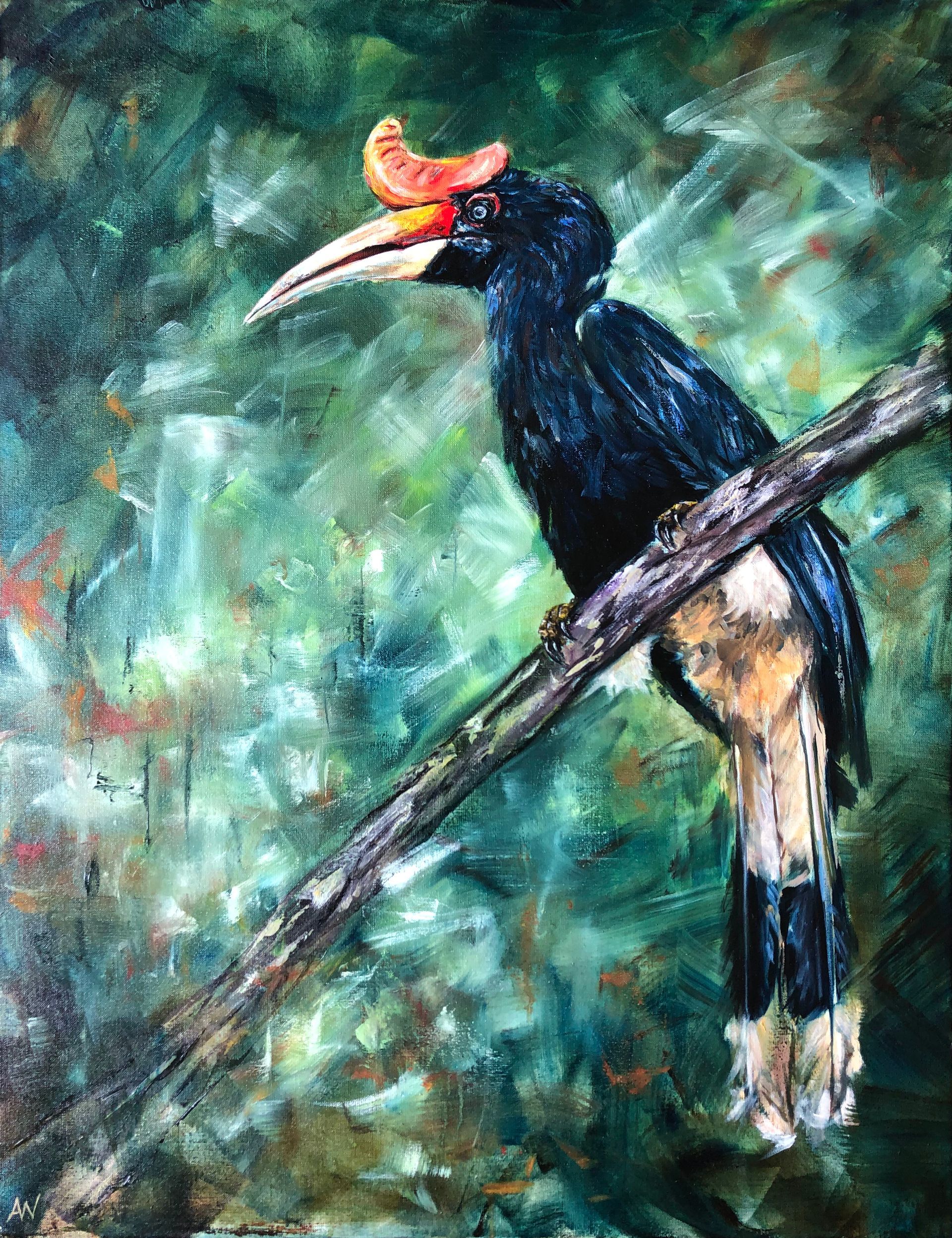 Hornbill, borneo, neushoornvogel