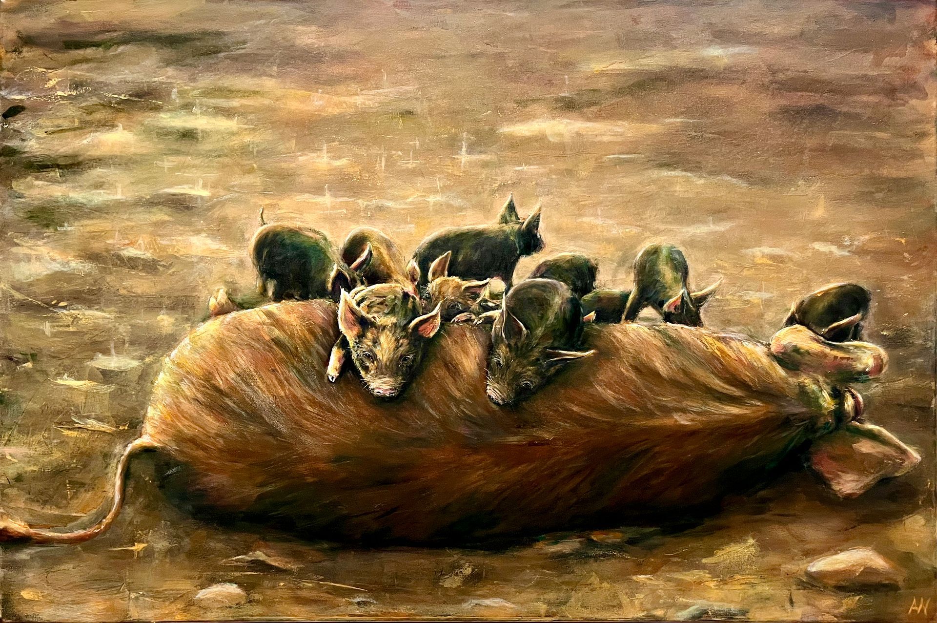 A sow with piglets laying in the sun.