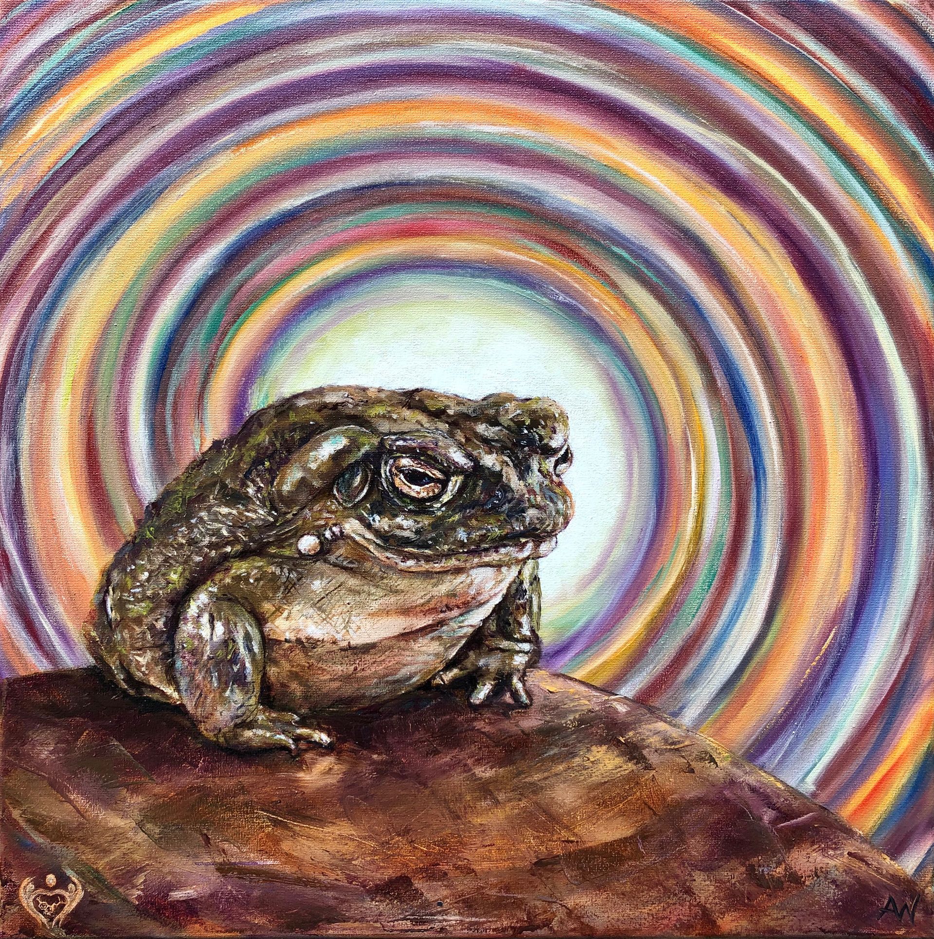 A Bufo Alvarius toad / frog is sitting on a rock with a spiritual rainbow in the background portraying a 5-Meo-DMT trip.