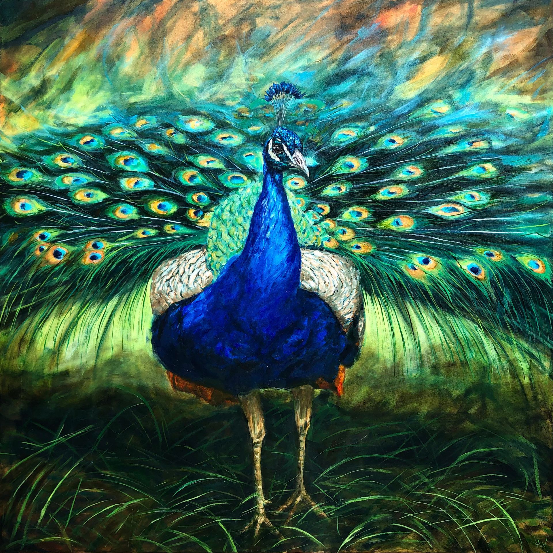 Bird Painting, Animal Painting, peacock, pauw, schilderij van een pauw, peacock painting