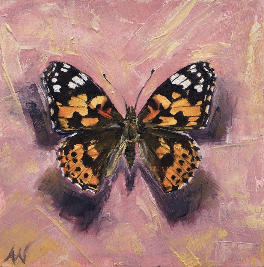 A painting of a Painted Lady butterfly on a pink background