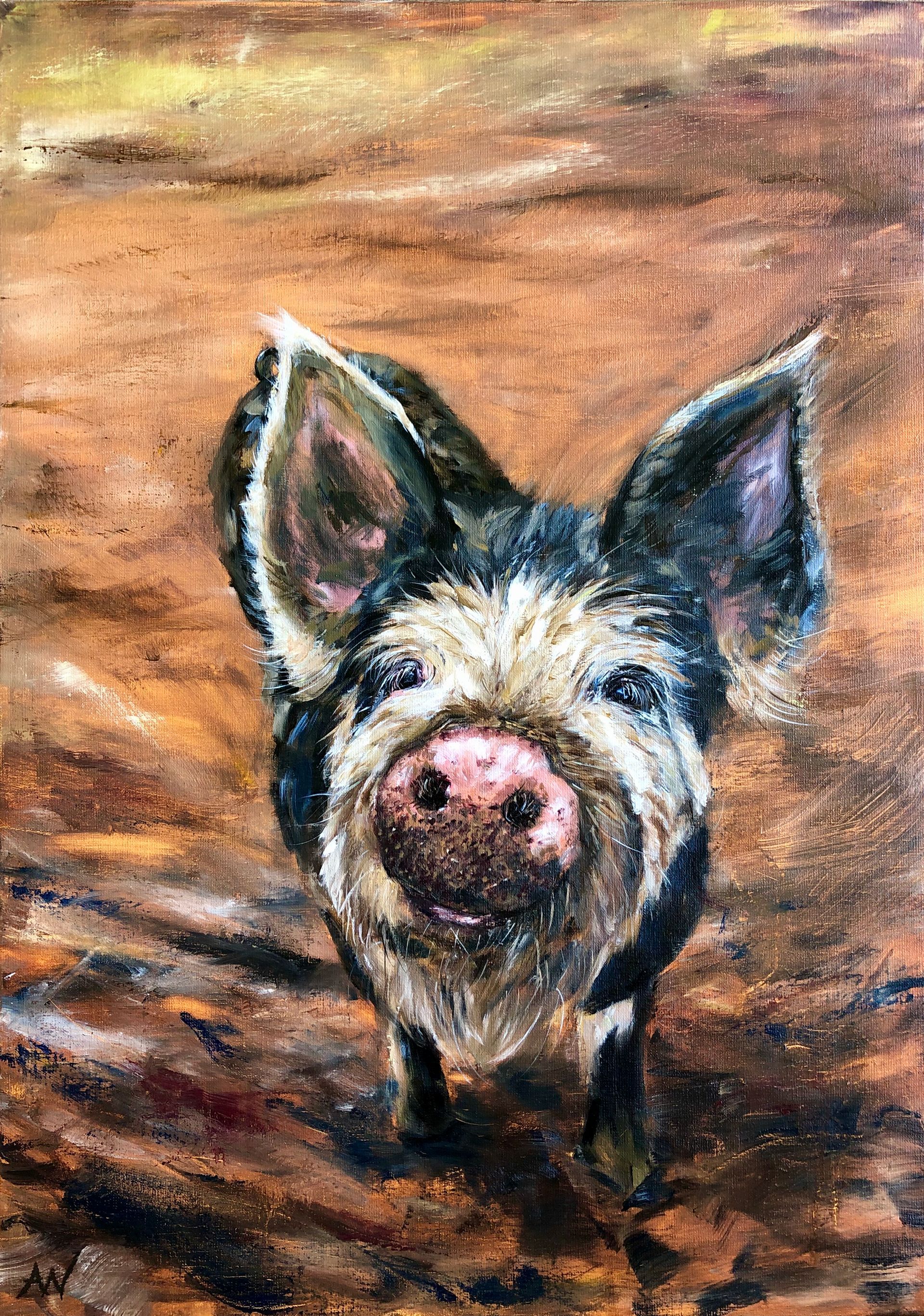 A painting of a Berkshire pig standing in the dirt looking at the camera.