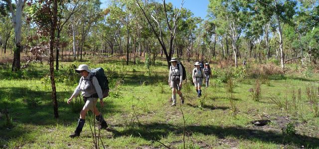 Easy wet season walking along Barramundi Creek above Maguk, Kakadu