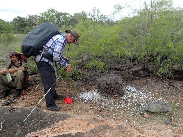 Kakadu, bower bird bower seen on wet season trek