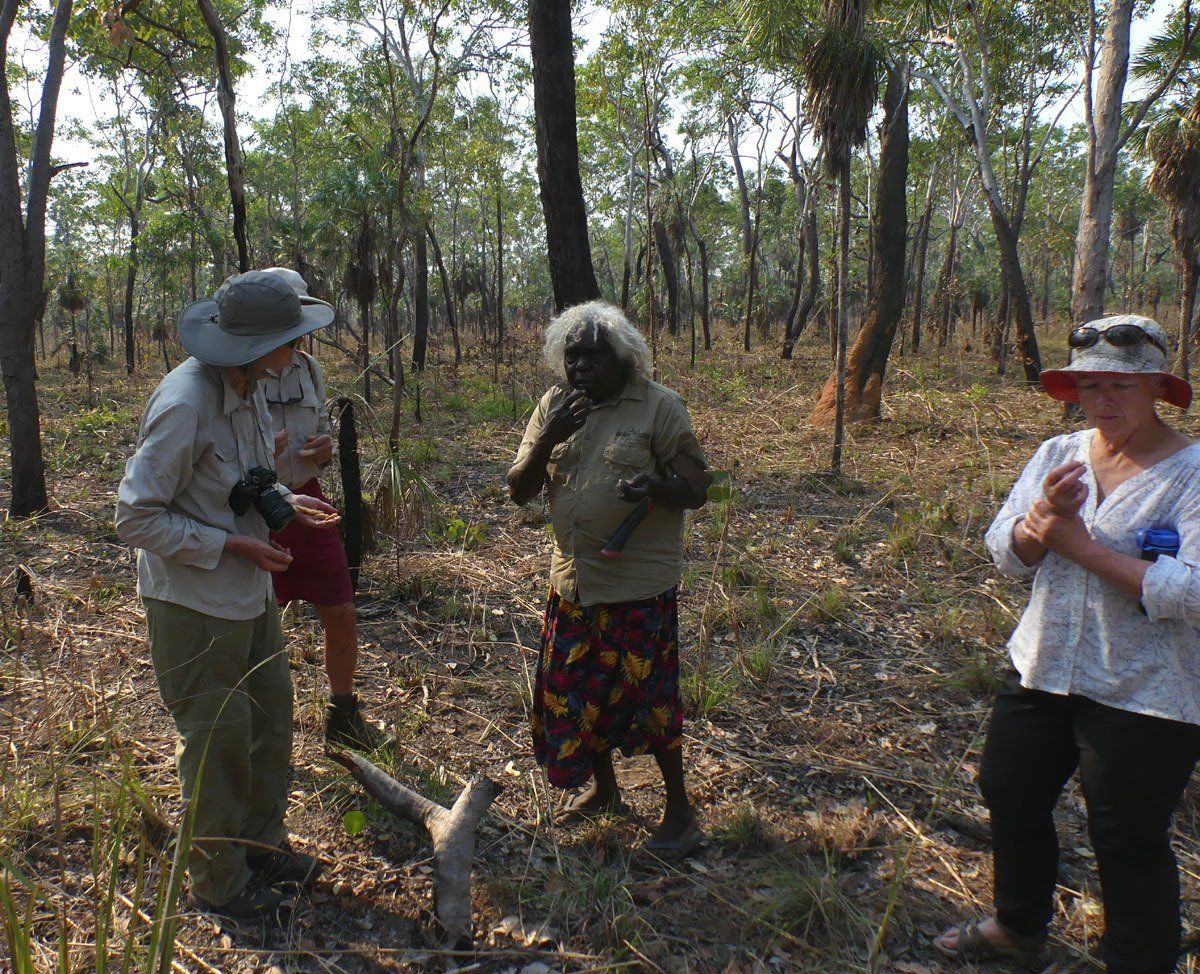 Kakadu, Animal Tracks tour