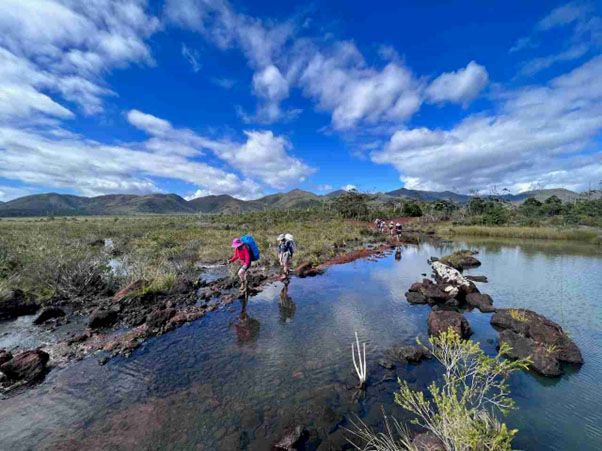New Caledonia hike, easy walking by a river