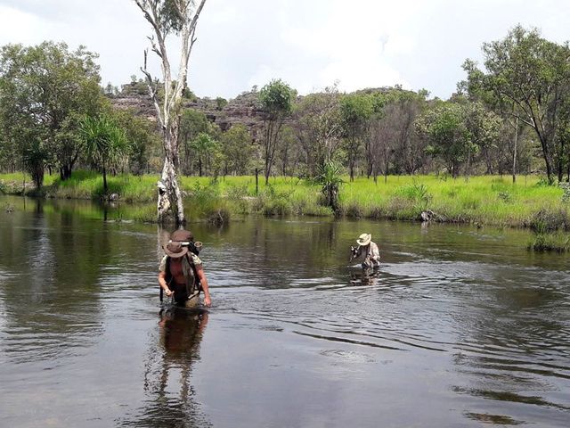Kakadu, Kudjewk, the wet season, crossing a flooded creek