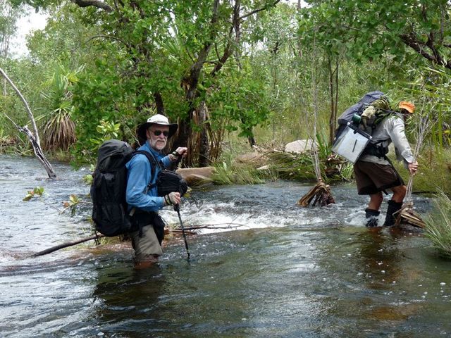 Kakadu wet season (Kudjewk) hike, crossing a flooded creek
