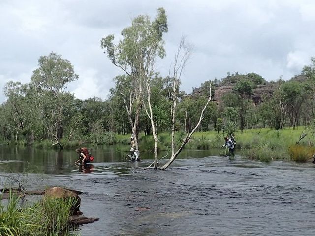 Kakadu, crossing a creek in Kudjewk, the wet season