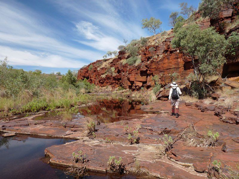 Karijini National Park, day hike, Upper Knox Gorge