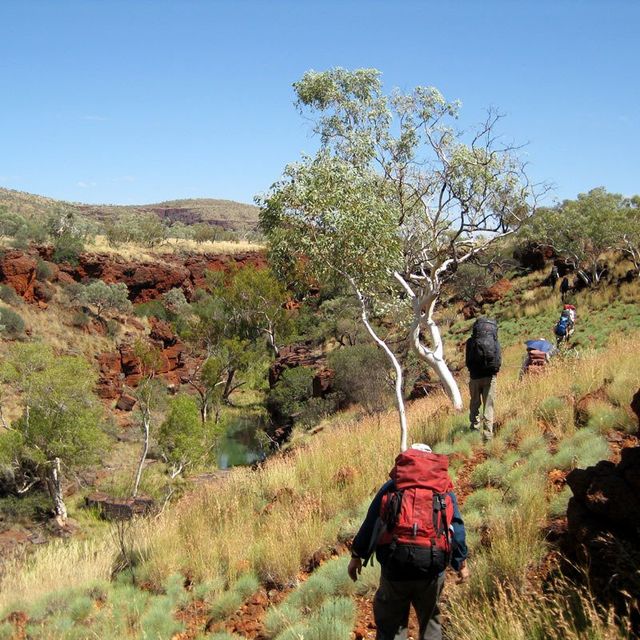Karijini National Park, Munjina Gorge bushwalk