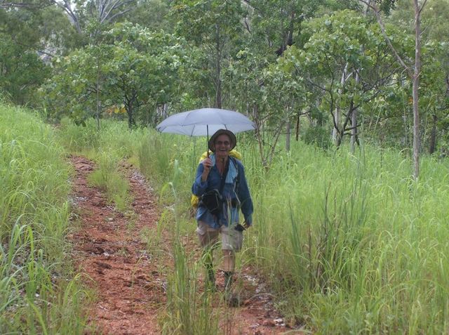 Nitmiluk, easy hiking on a wet season trail