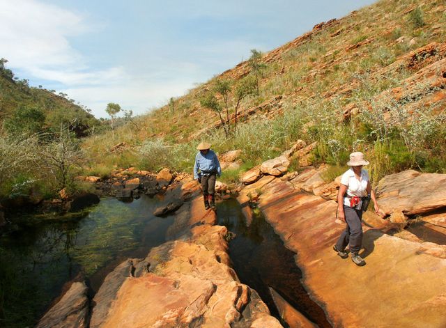 Purnululu, Bungle Bungles, wet season, Piccaninny Creek seen on Willis's Walkabouts trek