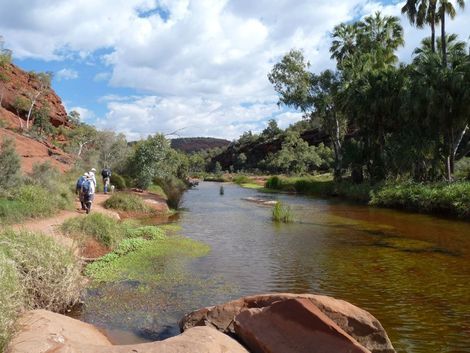 Purnululu, Bungle Bungles, wet season, Piccaninny Creek seen on Willis's Walkabouts trek