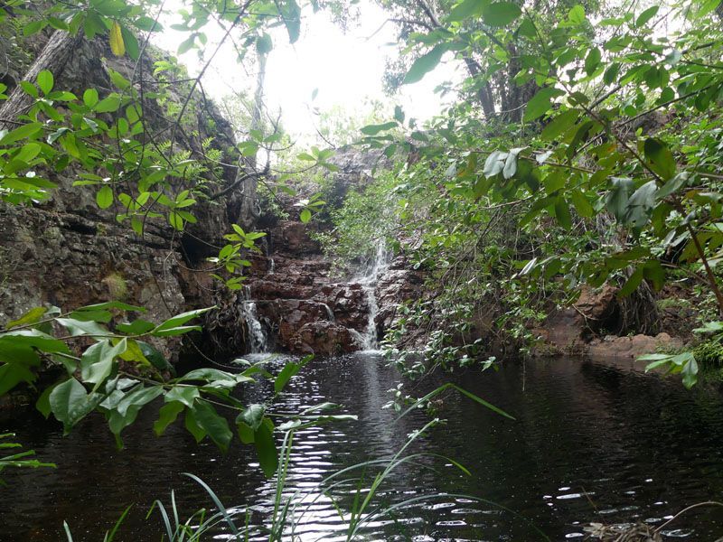 Litchfield, pool below Stapleton Falls, early wet season