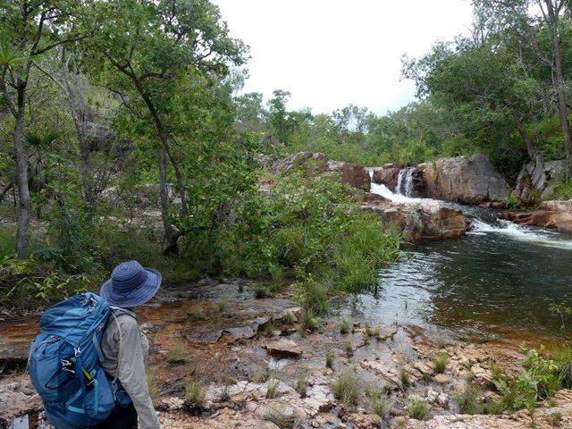 Litchfield. Trekking along Tableland Creek, wet season.