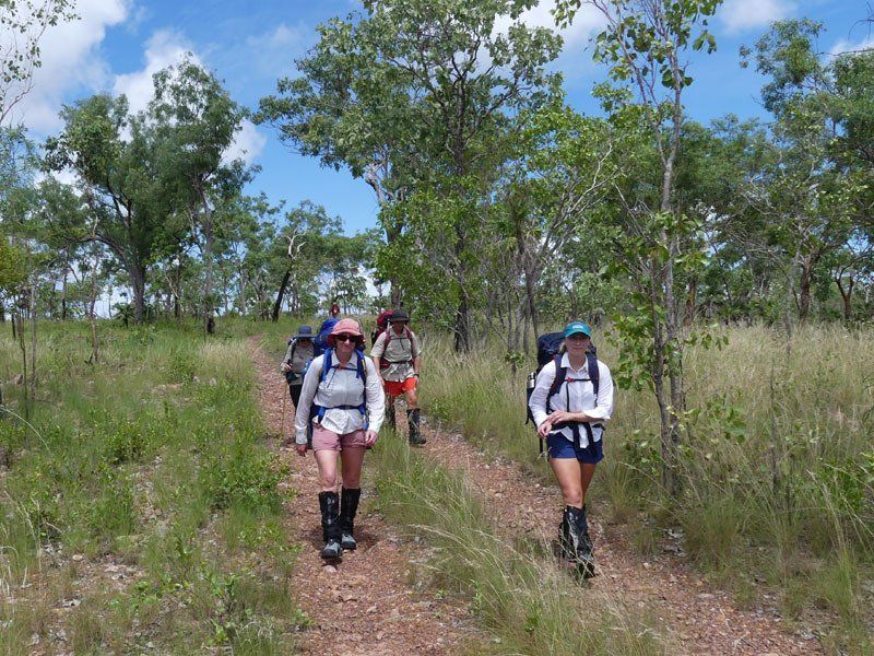Litchfield. The last part of our wet season  bushwalk in on a park track.