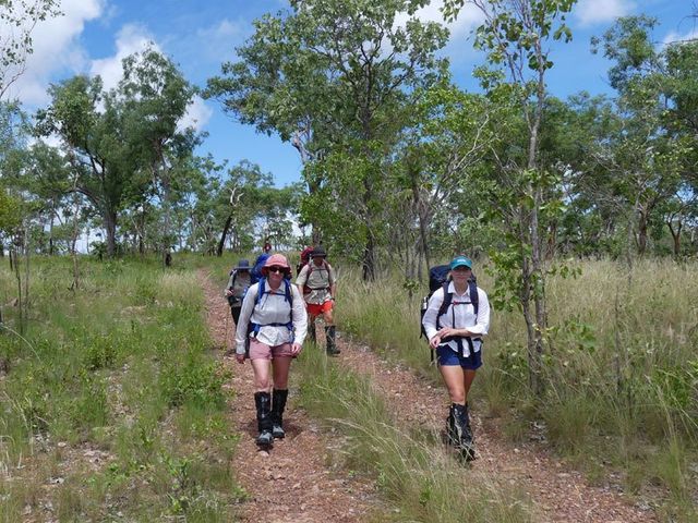 Litchfield. The last part of our wet season  bushwalk in on a park track.