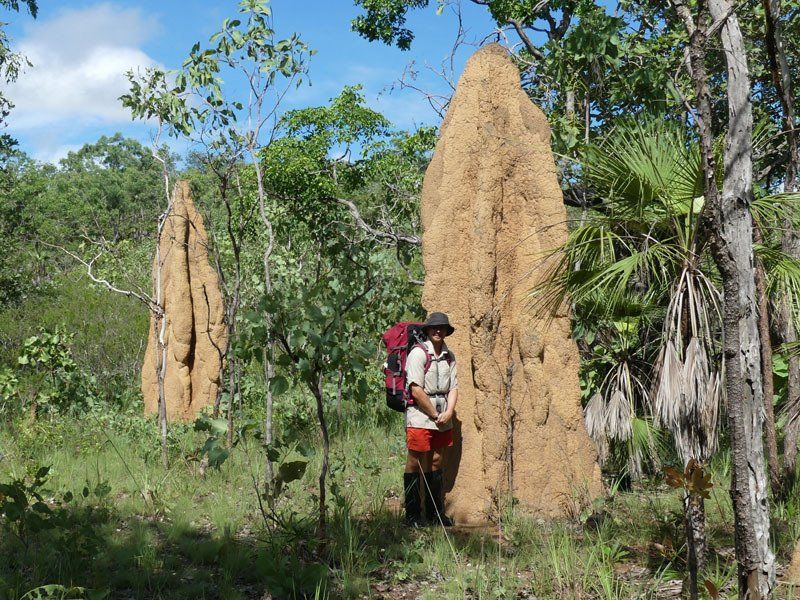 Litchfield termite mounds, southern trek.