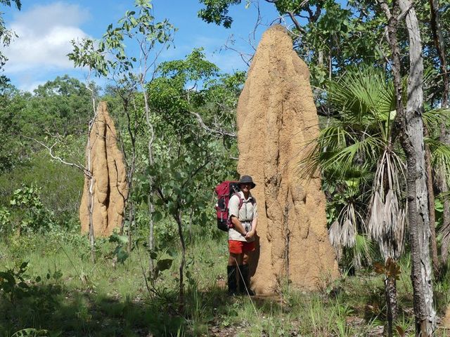 Litchfield termite mounds, southern trek.