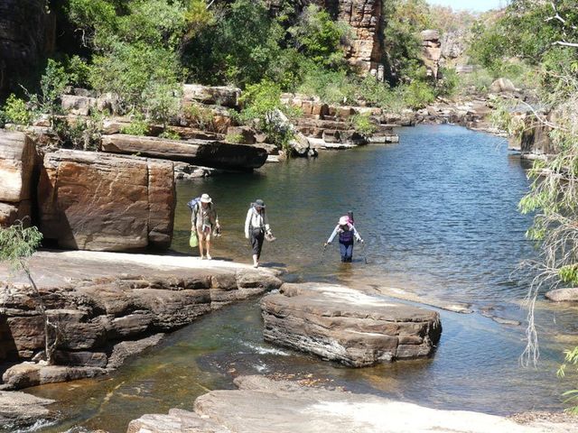 Kakadu, upper Twin Falls Gorge, wading across the creek on Willis's Walkabouts trek