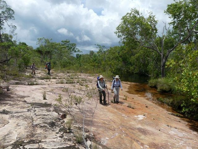 Litchfield, walking along Tolmer Creek, early wet season