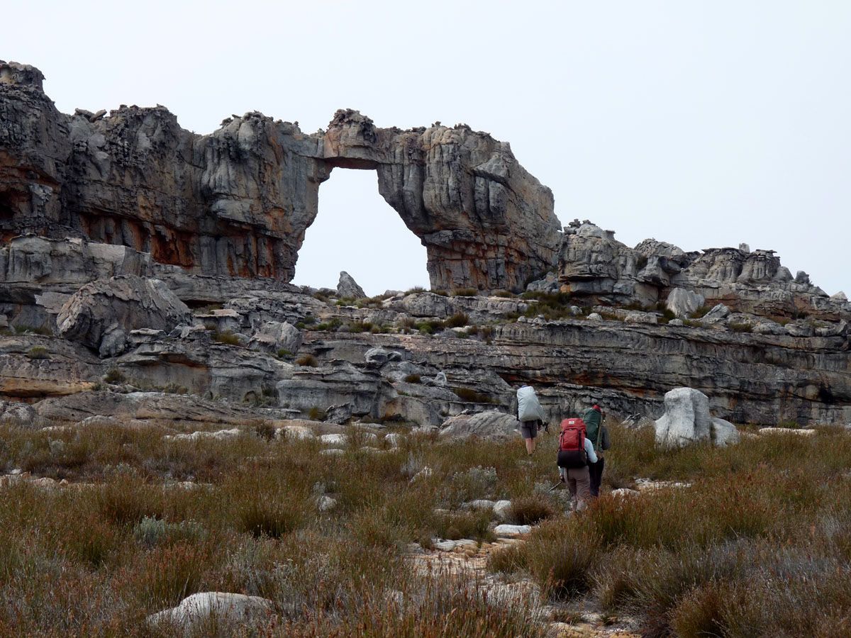 New Caledonia walking track