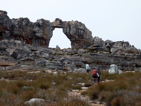 New Caledonia walking track
