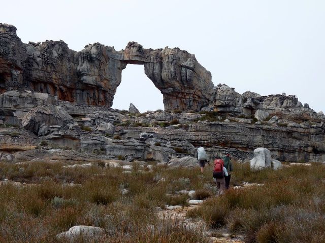 New Caledonia walking track