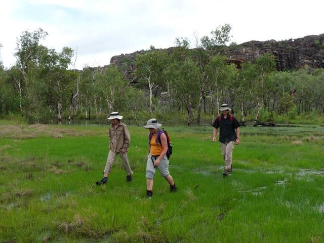 Kakadu, wet season. Walking on the green grassy plain about our Baroalba base camp.