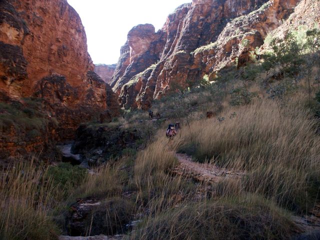 Purnululu, Bungle Bungles, hiking up Piccaninny gorge