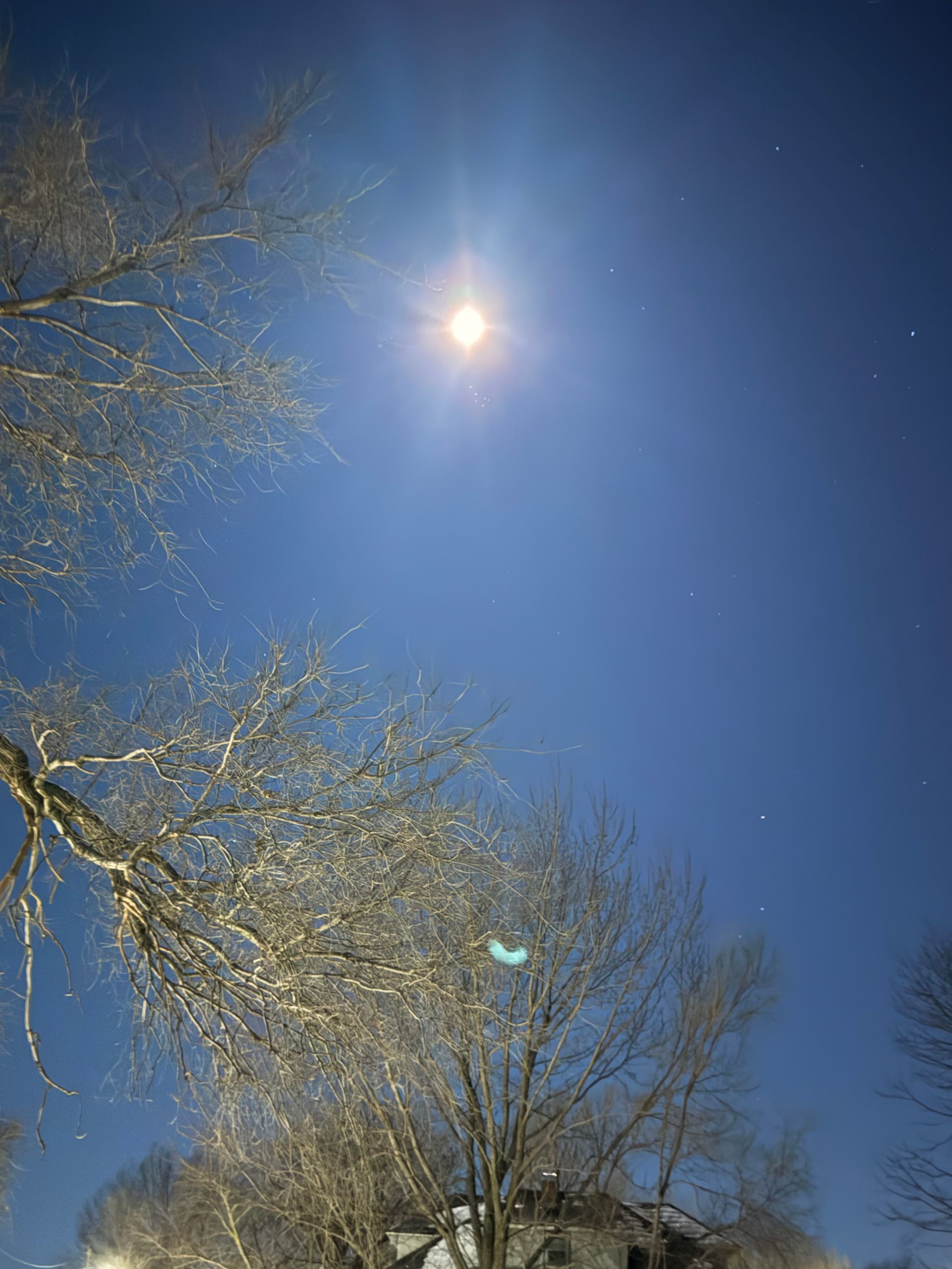 Winter Moon Shines Bright.