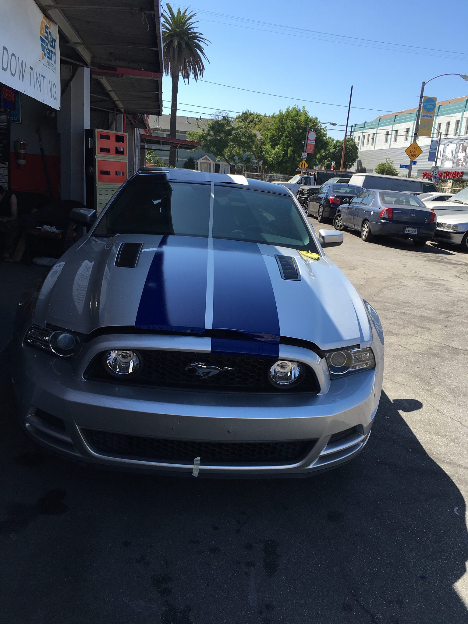 A silver mustang with blue stripes on the hood is parked in a parking lot.