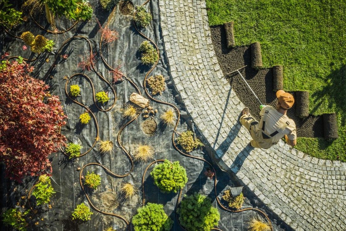 A gardener laying sod and stone path in a garden with plants, overhead view.