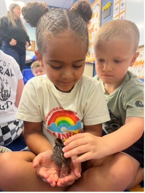 Two children examining a small bird in a classroom. The girl is holding the bird, and the boy is looking.