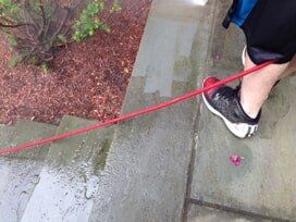 Partially Cleaned Concrete - Power Washing Services in Westchester County, NY