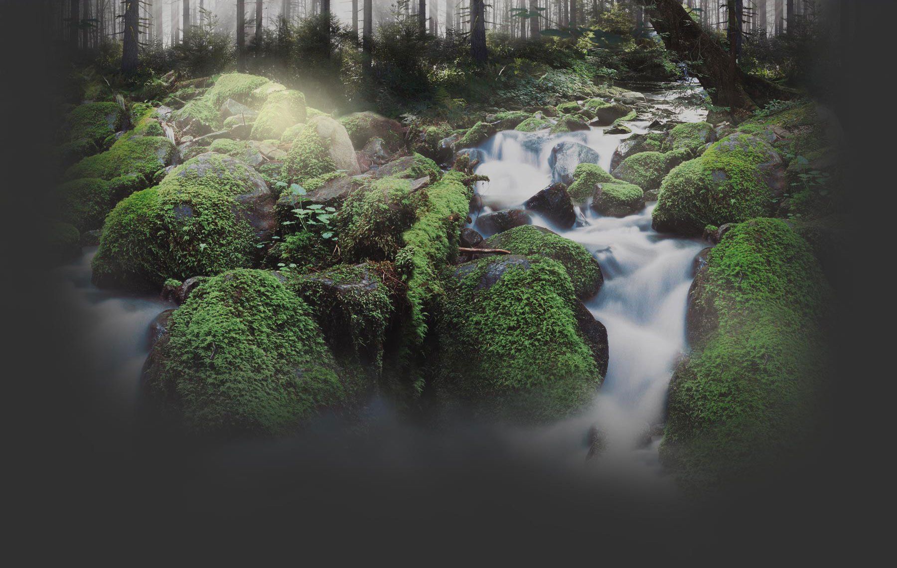 Neuman Family Funeral Home Bancroft, ON