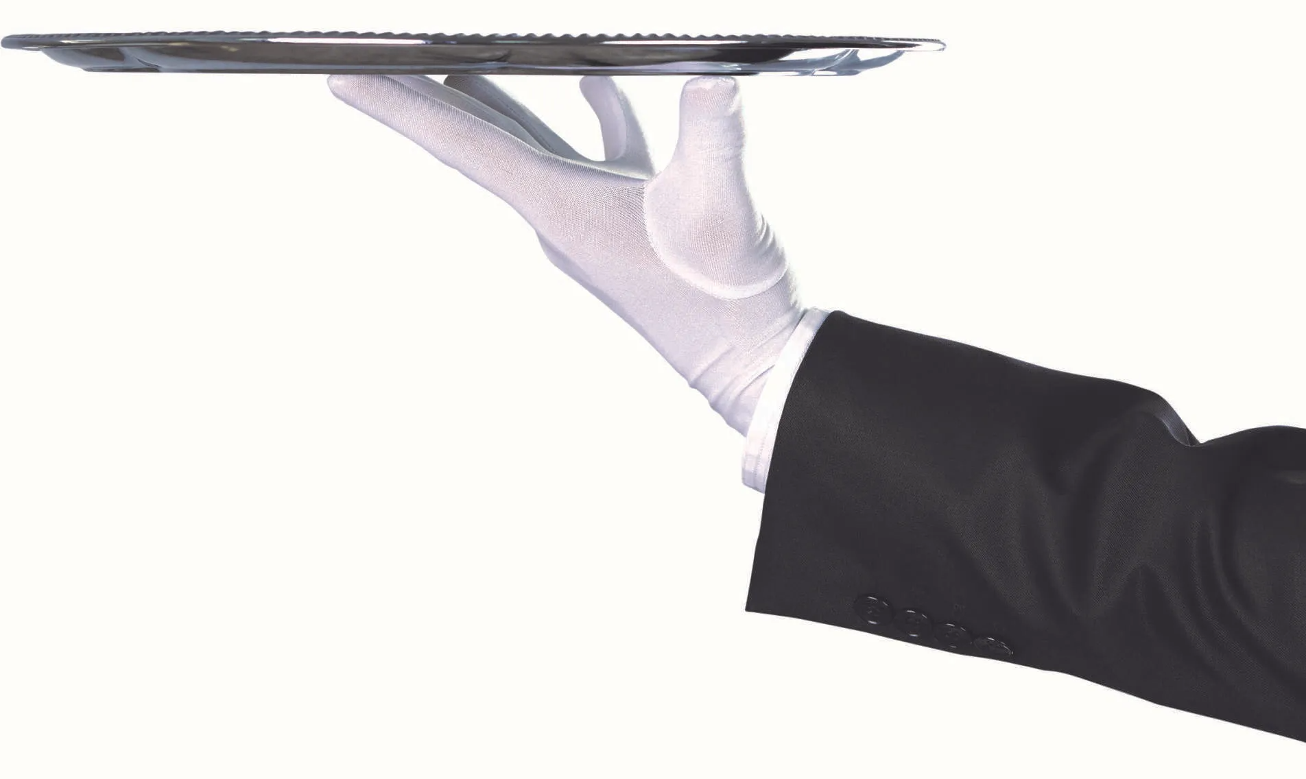 alpine-view-the-butler-care-waiter-holding-tray