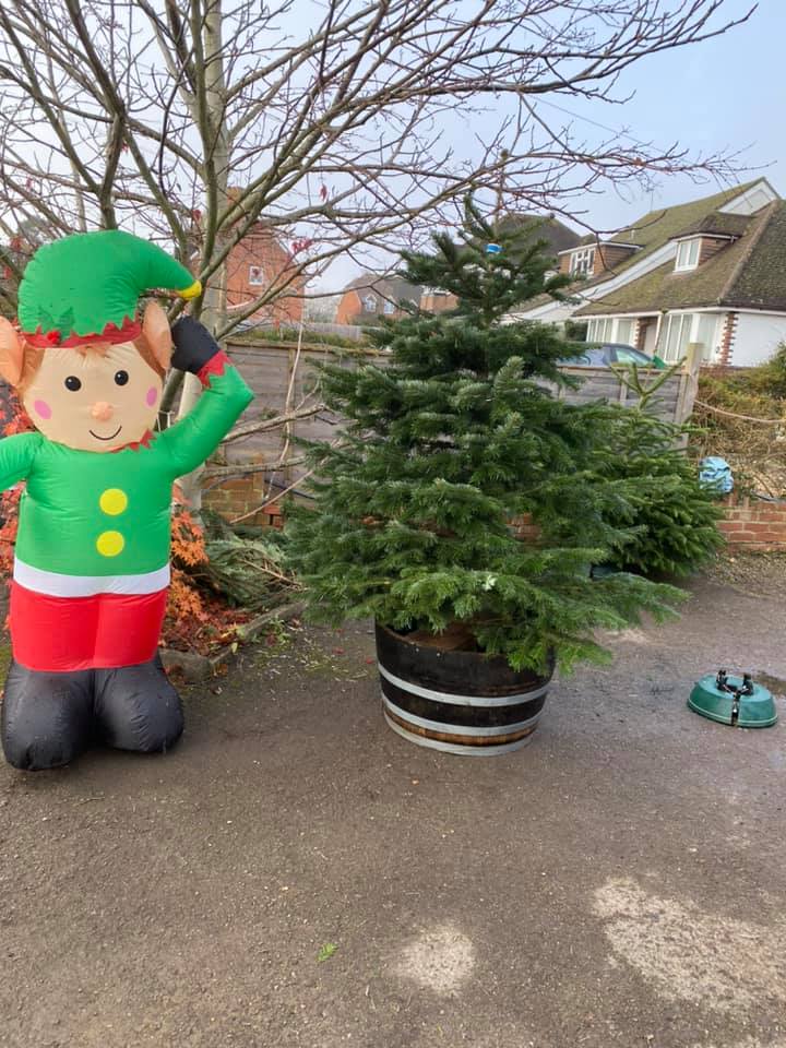 Inflatable elf beside a potted Christmas tree outdoors.