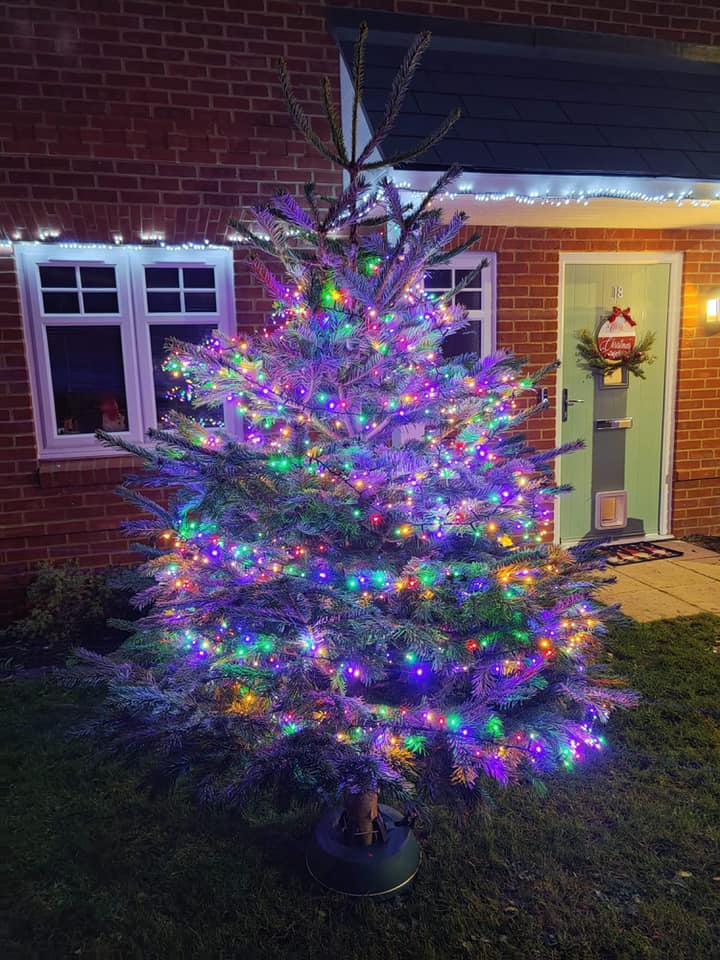 Christmas tree lit with colorful lights in front of a brick house. A wreath hangs on a green door.