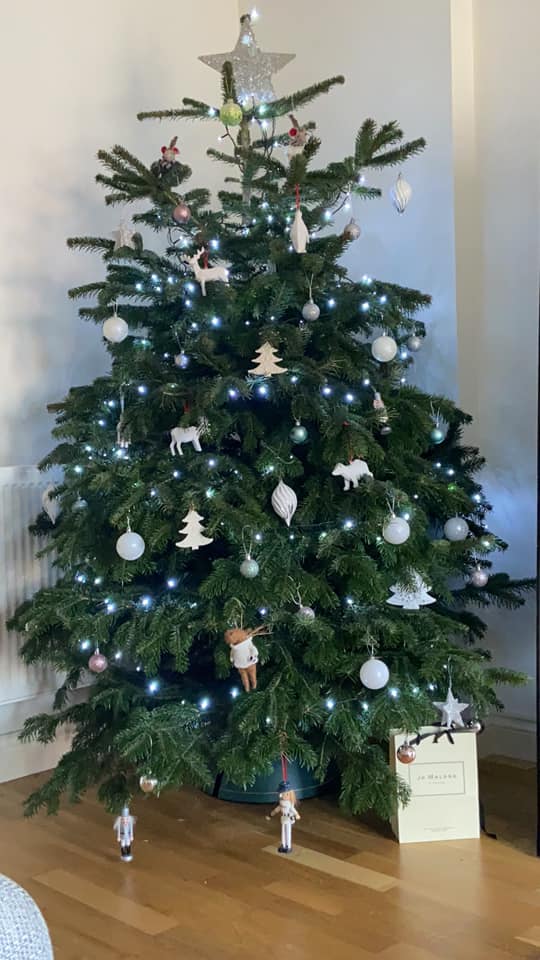 Christmas tree decorated with lights and ornaments indoors.