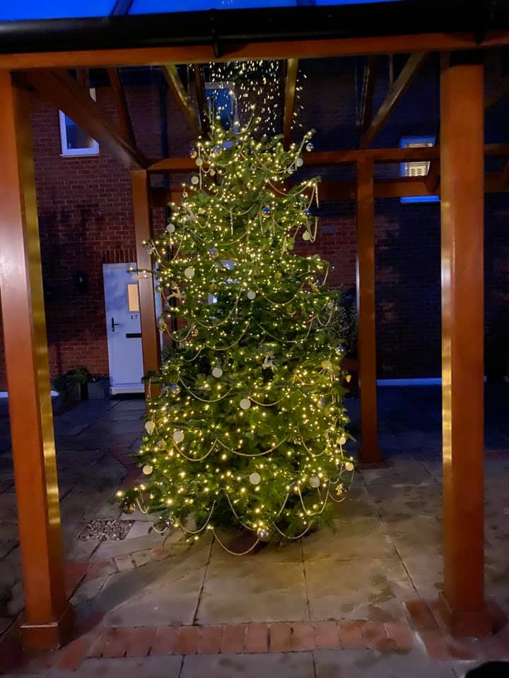 Christmas tree lit with lights, inside a wooden pergola.